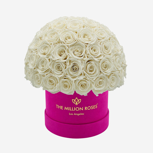 Classic Light Pink Suede Superdome Box | White Roses - The Million Roses