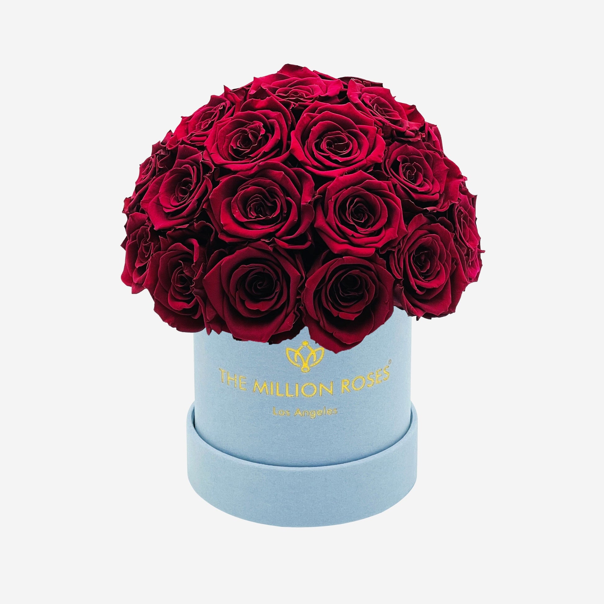 Basic Light Blue Suede Superdome Box | Burgundy Roses - The Million Roses