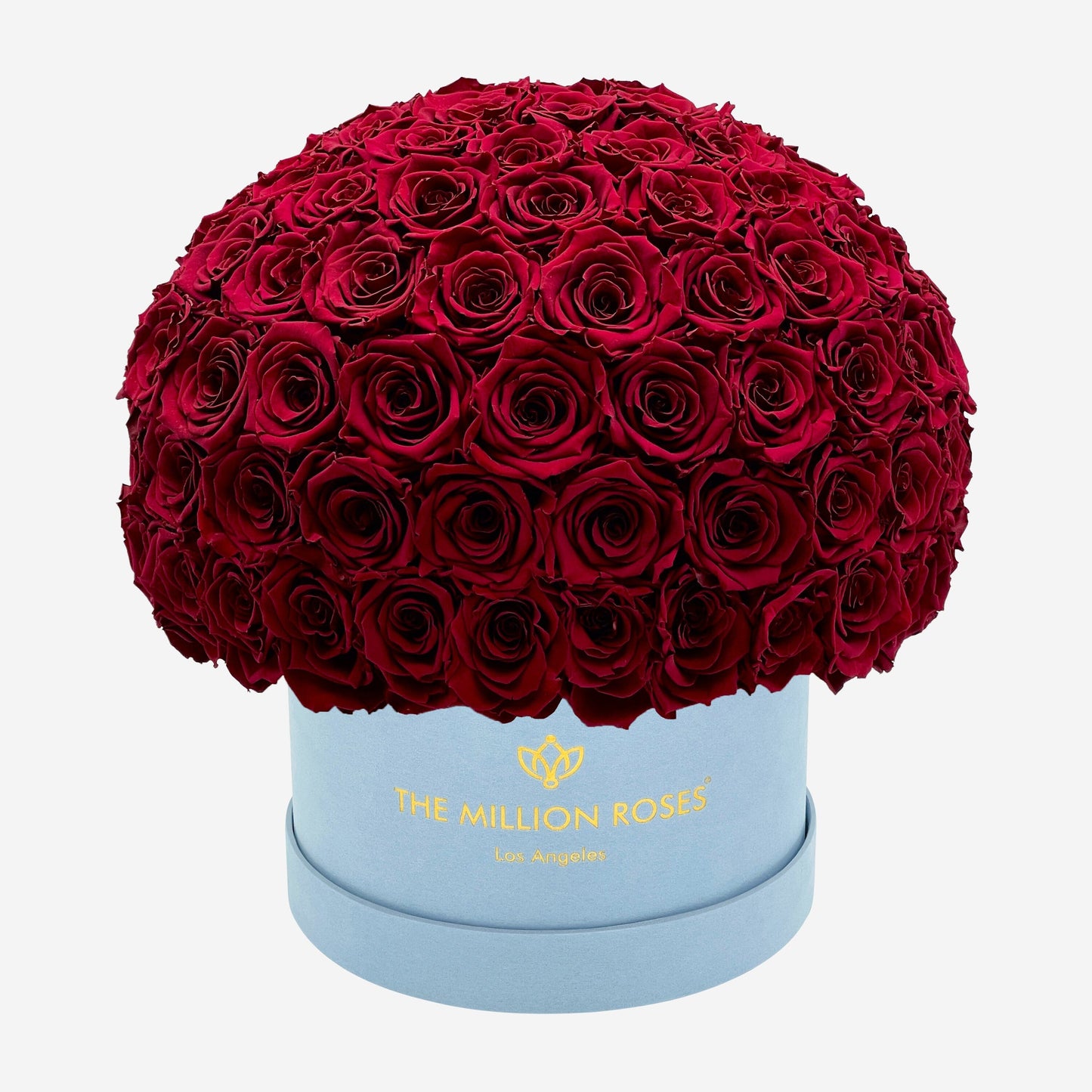 Supreme Light Blue Suede Superdome Box | Burgundy Roses - The Million Roses