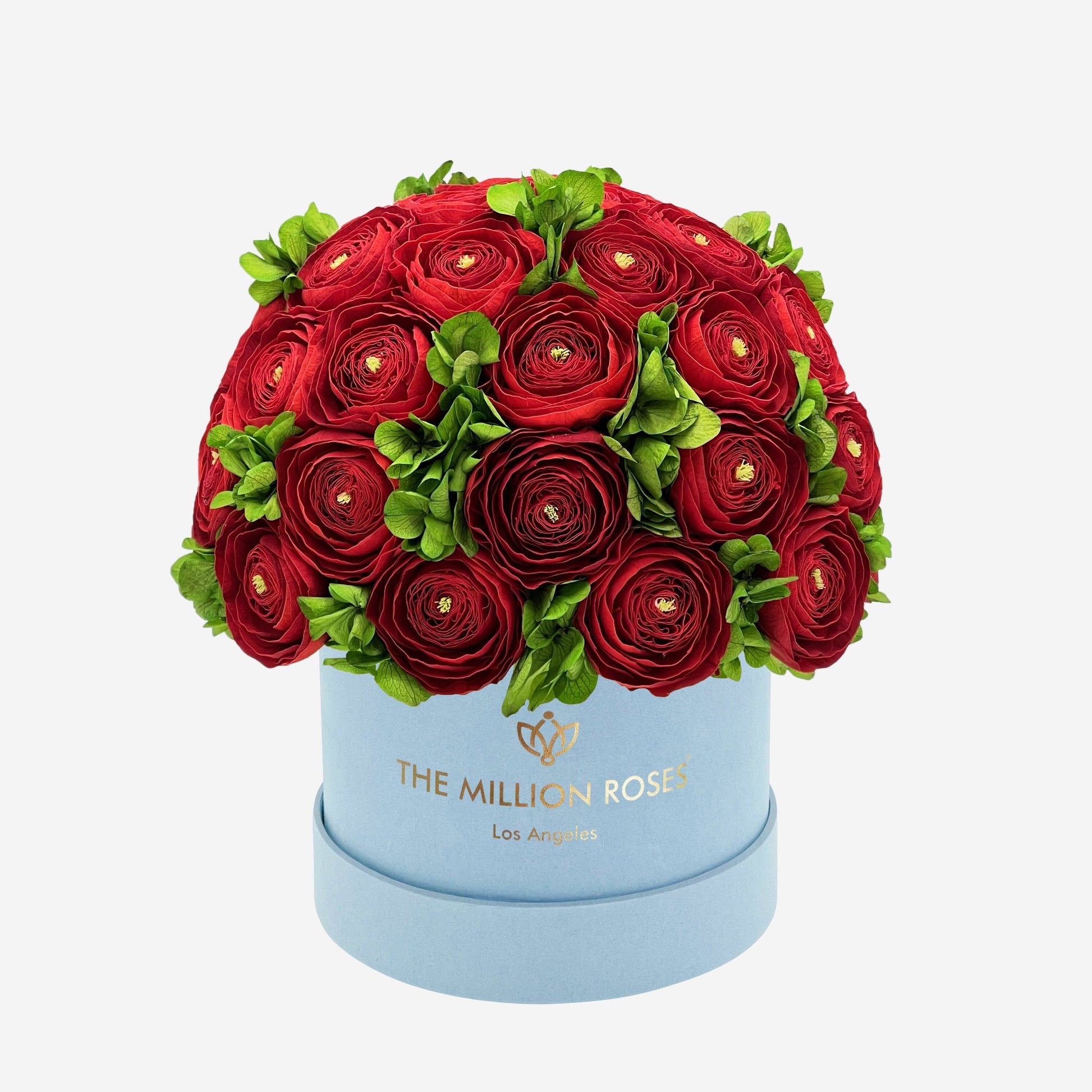 Classic Light Blue Suede Box | Red Persian Buttercups & Green Hydrangeas - The Million Roses