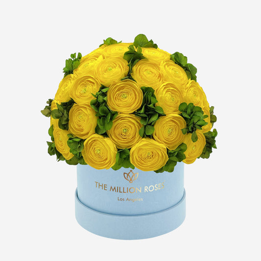 Classic Light Blue Suede Box | Yellow Persian Buttercups & Green Hydrangeas - The Million Roses
