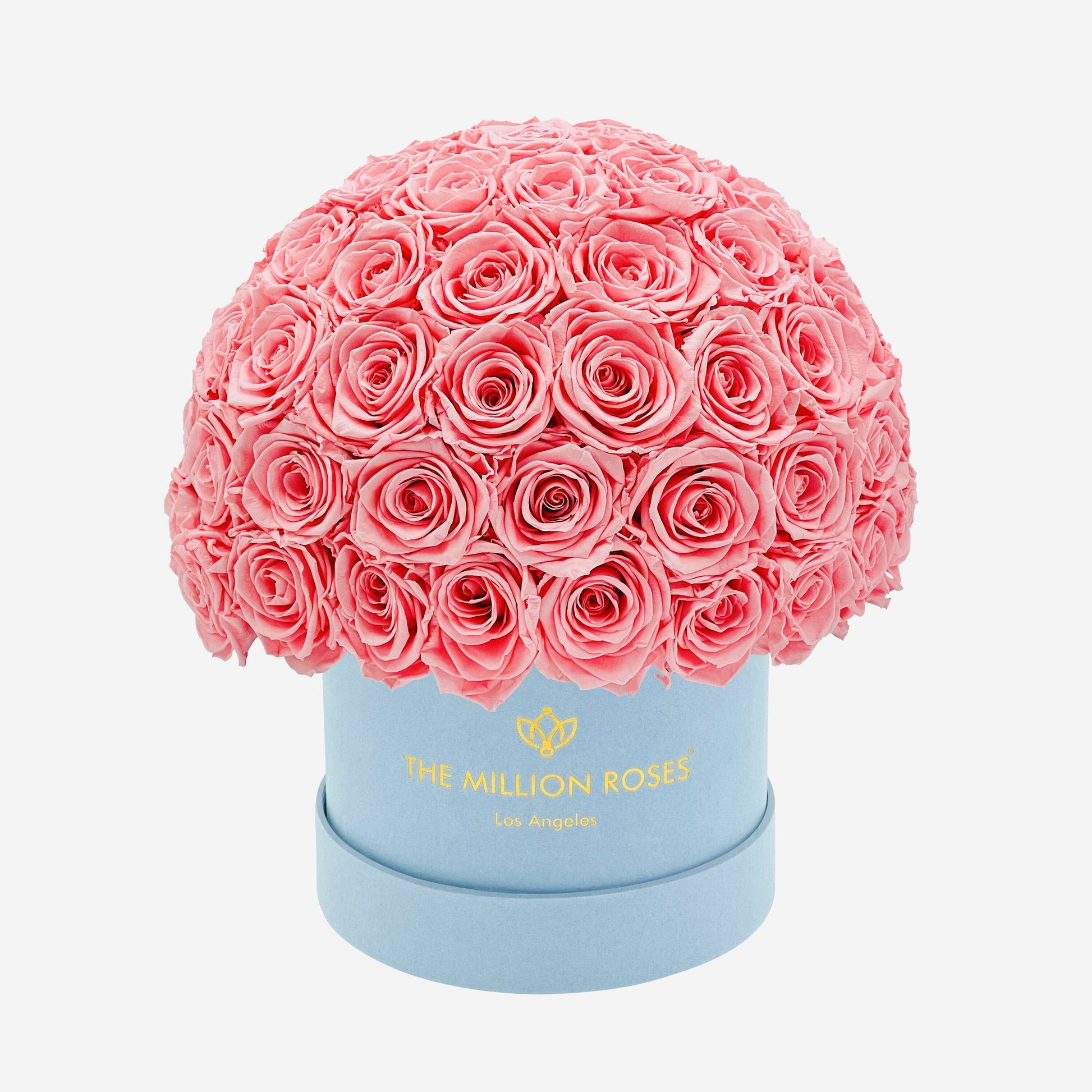 Classic Light Blue Suede Superdome Box | Light Pink Roses - The Million Roses