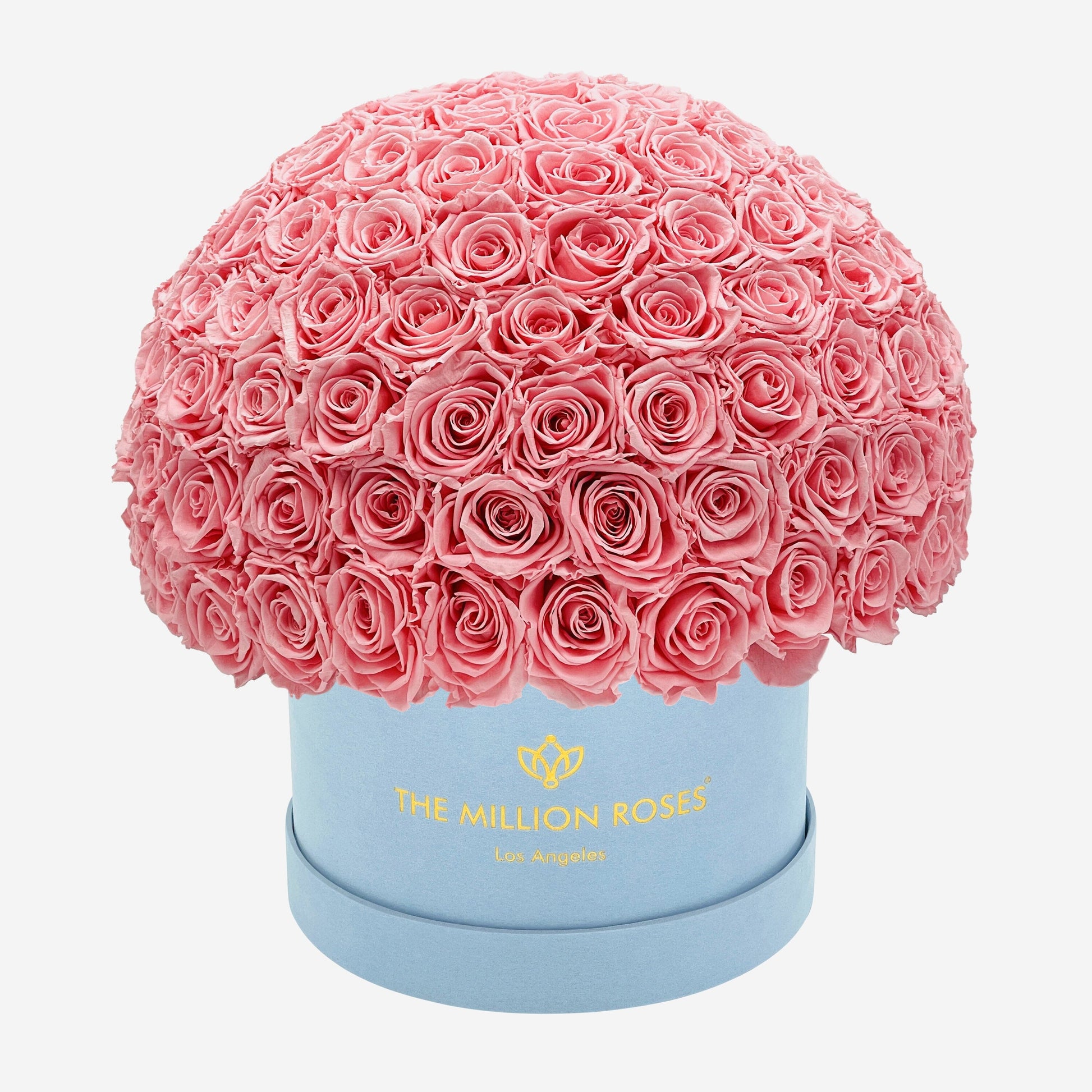 Supreme Light Blue Suede Superdome Box | Light Pink Roses - The Million Roses