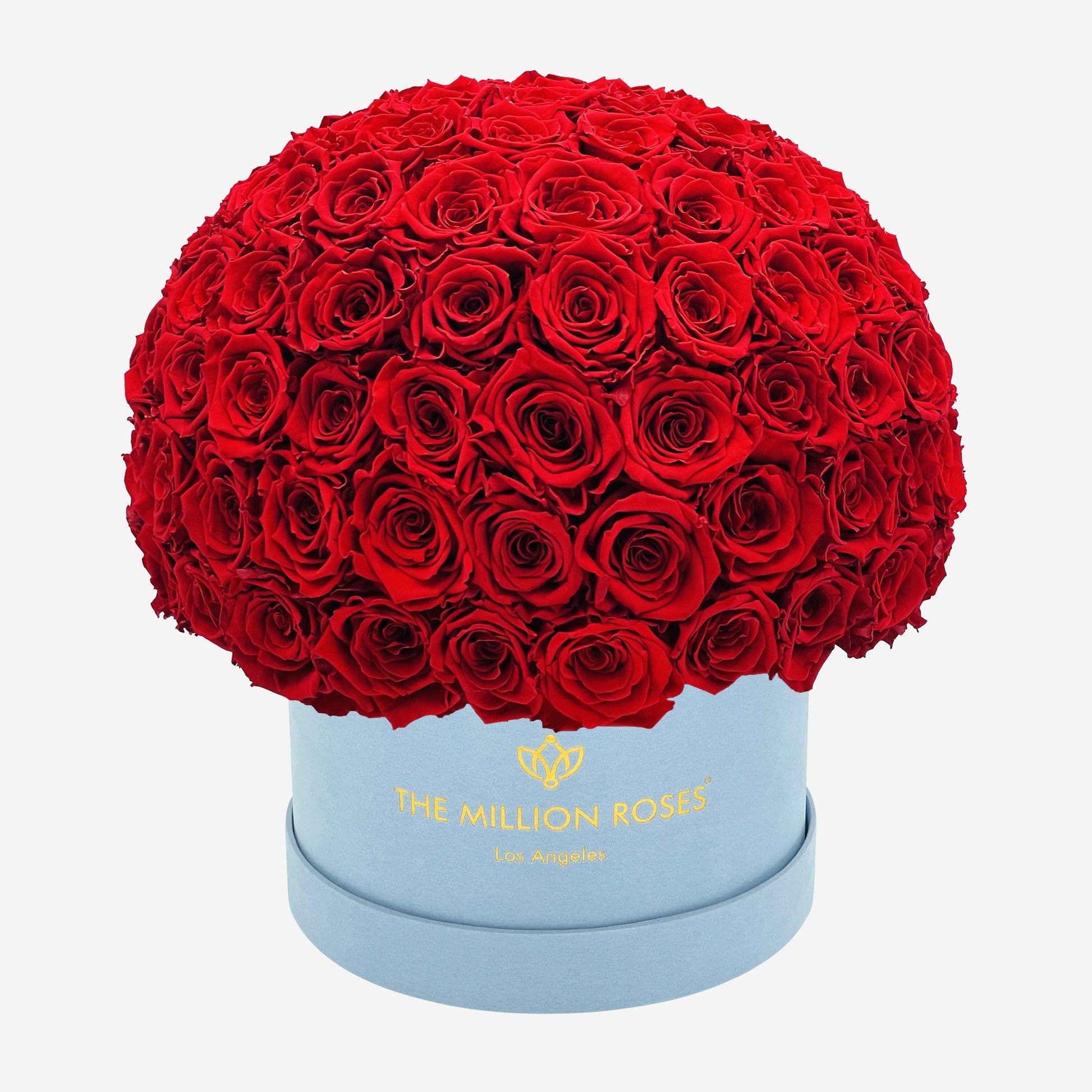 Supreme Light Blue Suede Superdome Box | Red Roses - The Million Roses