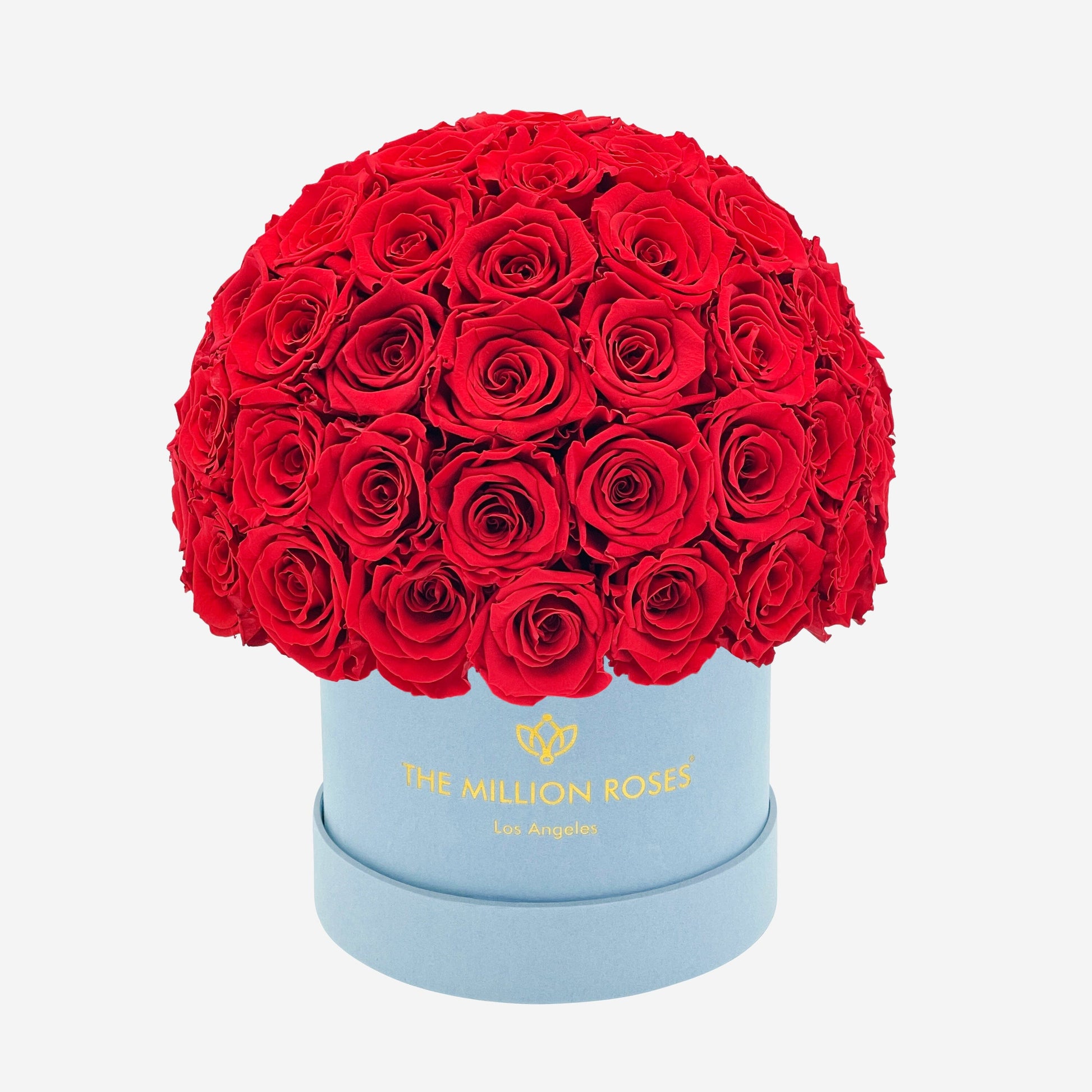Classic Light Blue Suede Superdome Box | Red Roses - The Million Roses