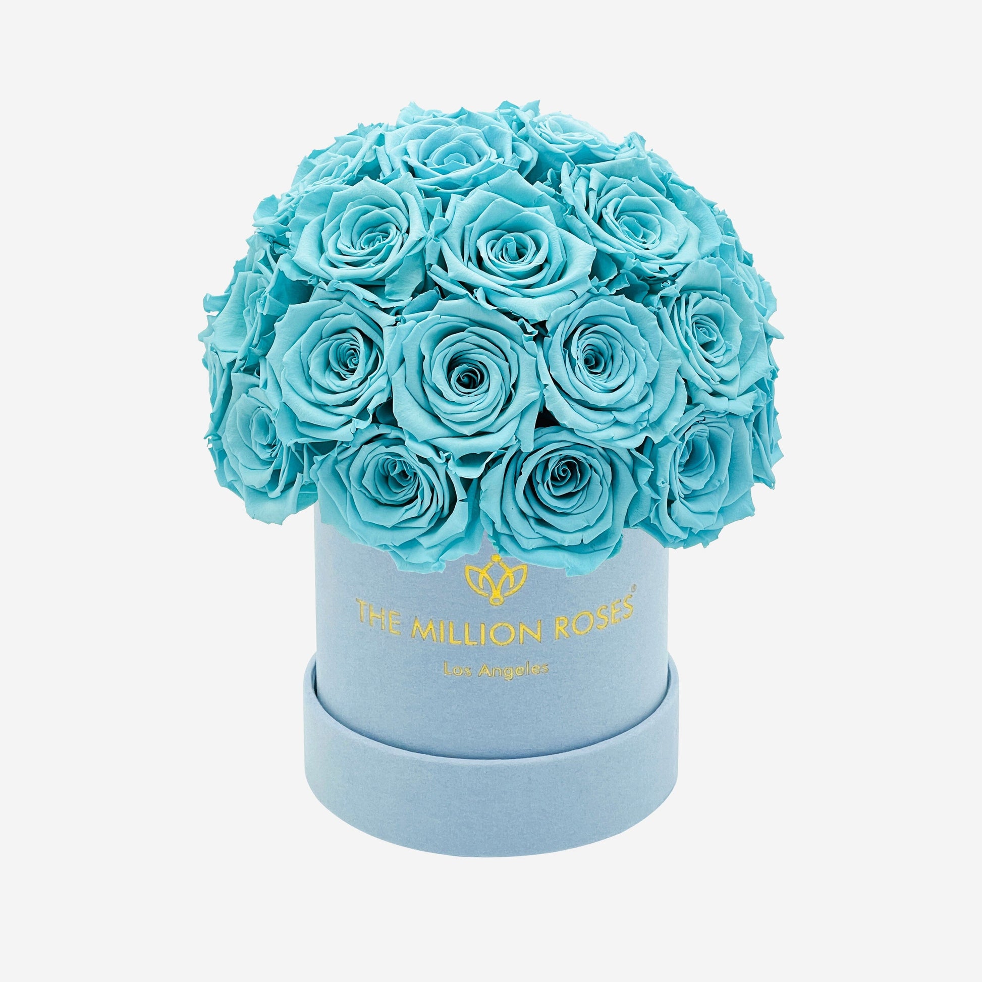 Basic Light Blue Suede Superdome Box | Turquoise Roses - The Million Roses