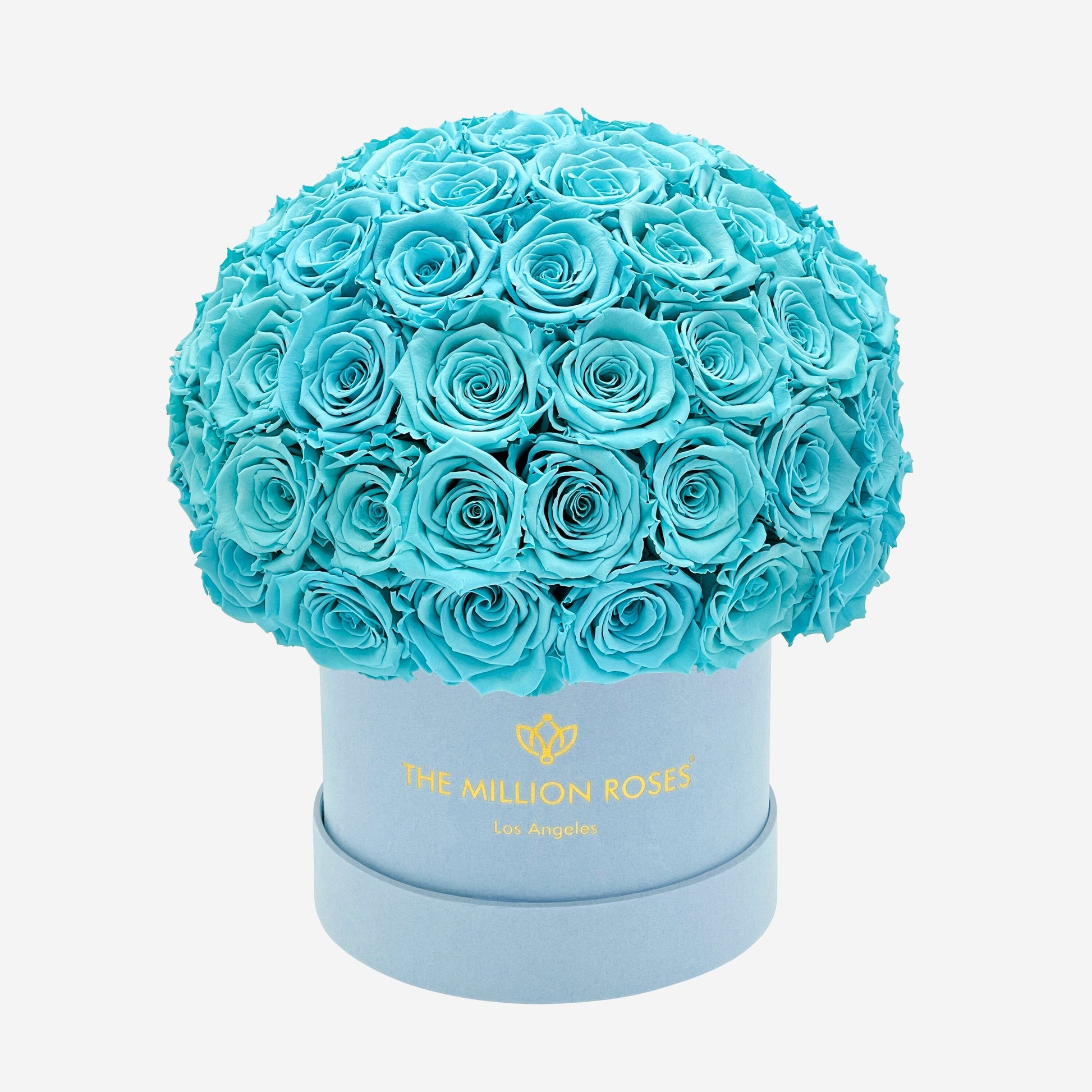 Classic Light Blue Suede Superdome Box | Turquoise Roses - The Million Roses