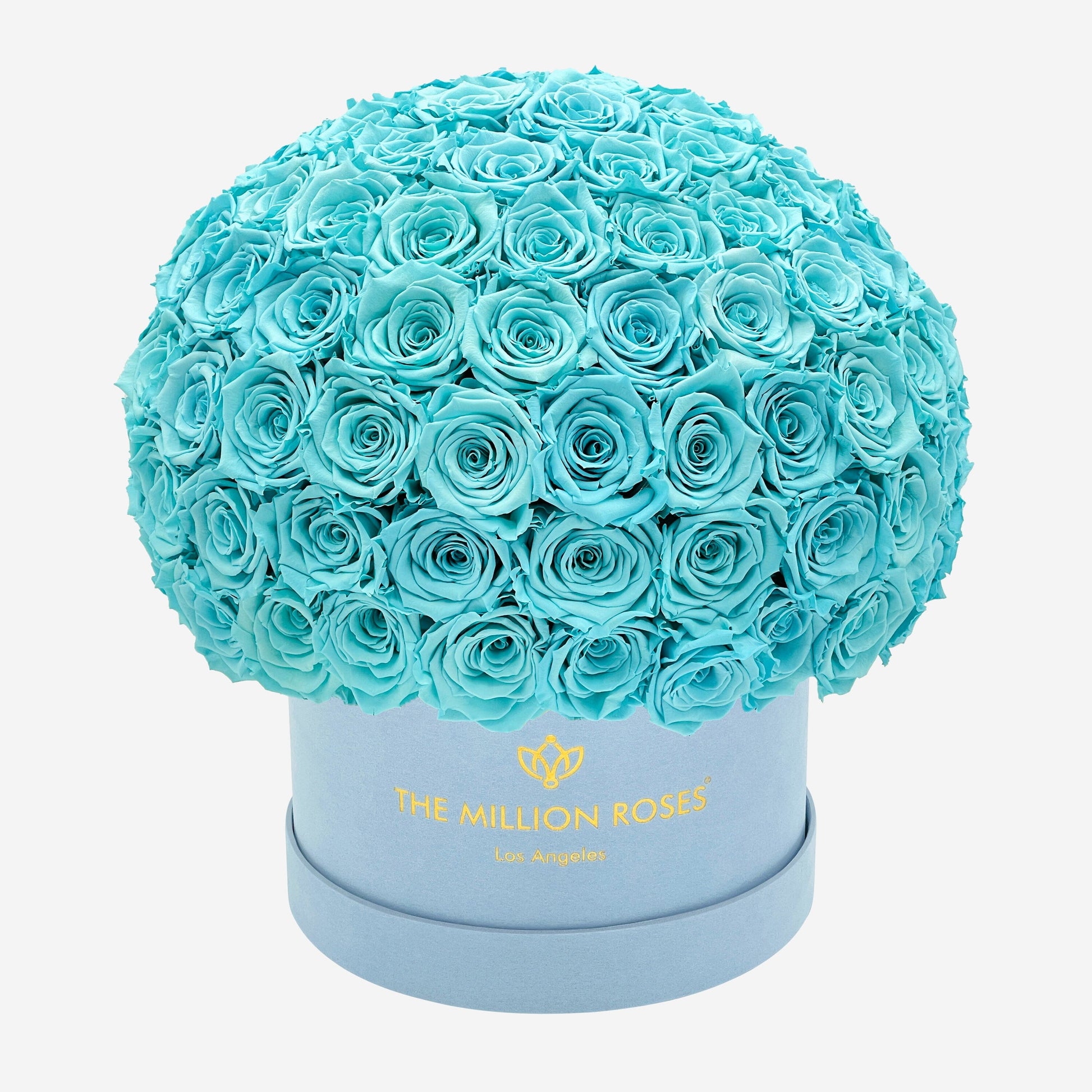 Supreme Light Blue Suede Superdome Box | Turquoise Blue Roses - The Million Roses