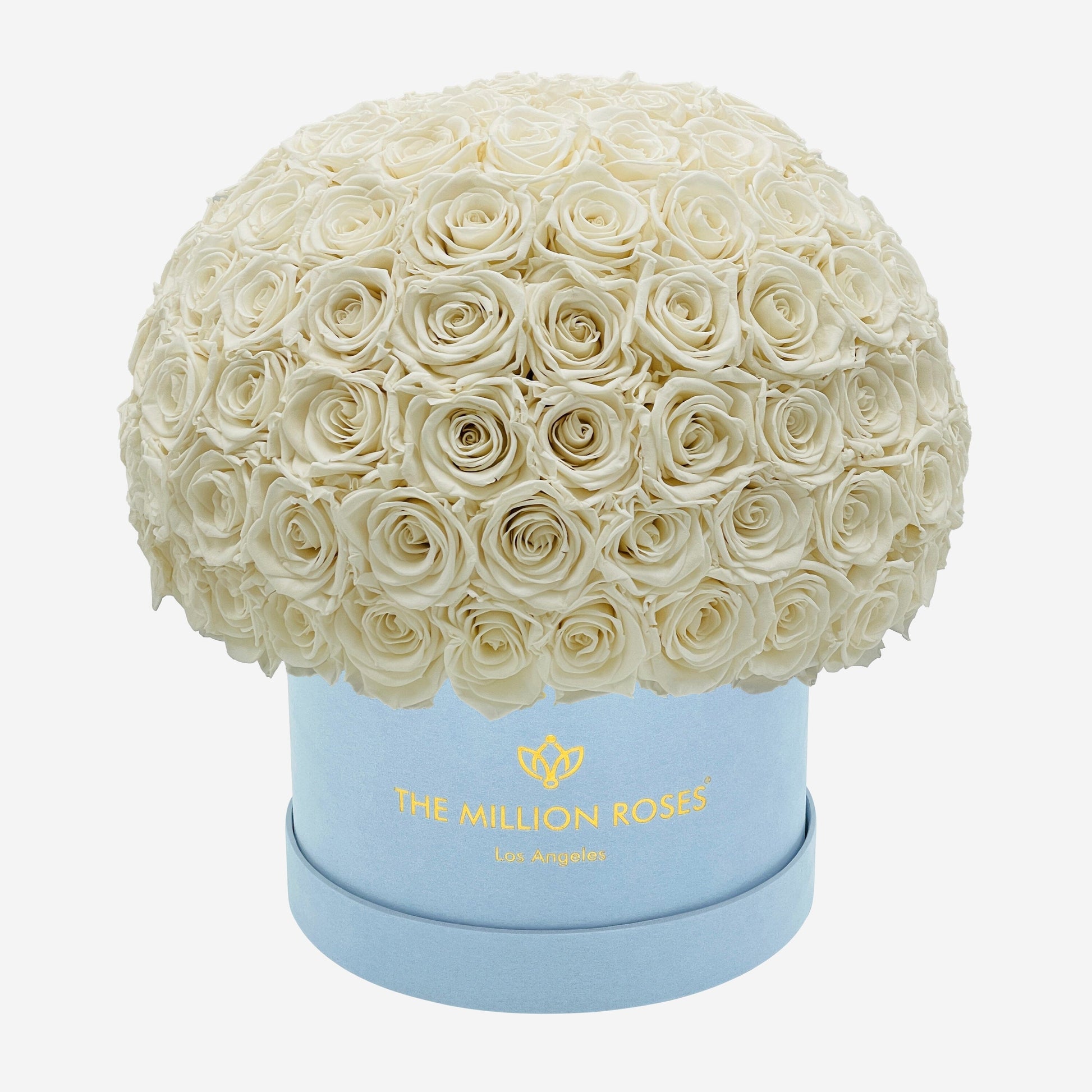 Supreme Light Blue Suede Superdome Box | White Roses - The Million Roses