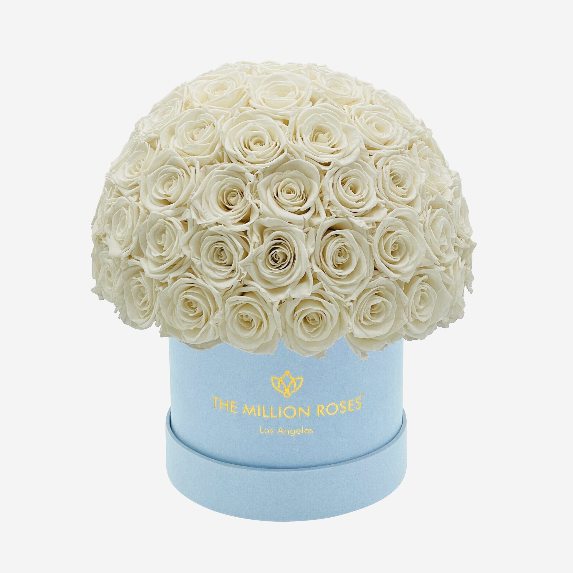 Classic Light Blue Suede Superdome Box | White Roses - The Million Roses