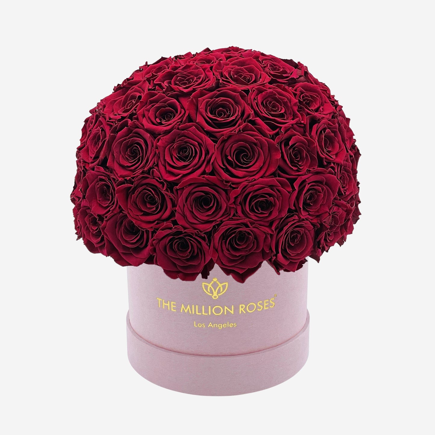 Classic Light Pink Suede Superdome Box | Burgundy Roses - The Million Roses
