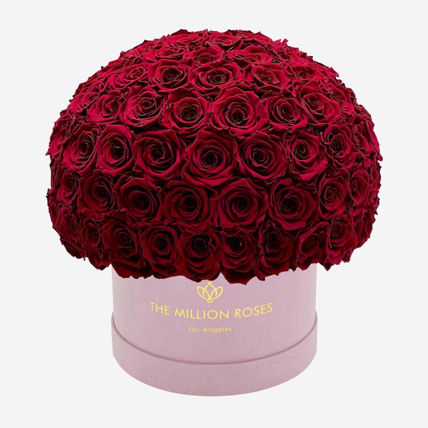 Supreme Light Pink Suede Superdome Box | Burgundy Roses - The Million Roses
