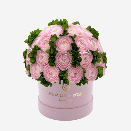 Classic Light Pink Suede Box | Light Pink Persian Buttercups & Green Hydrangeas - The Million Roses