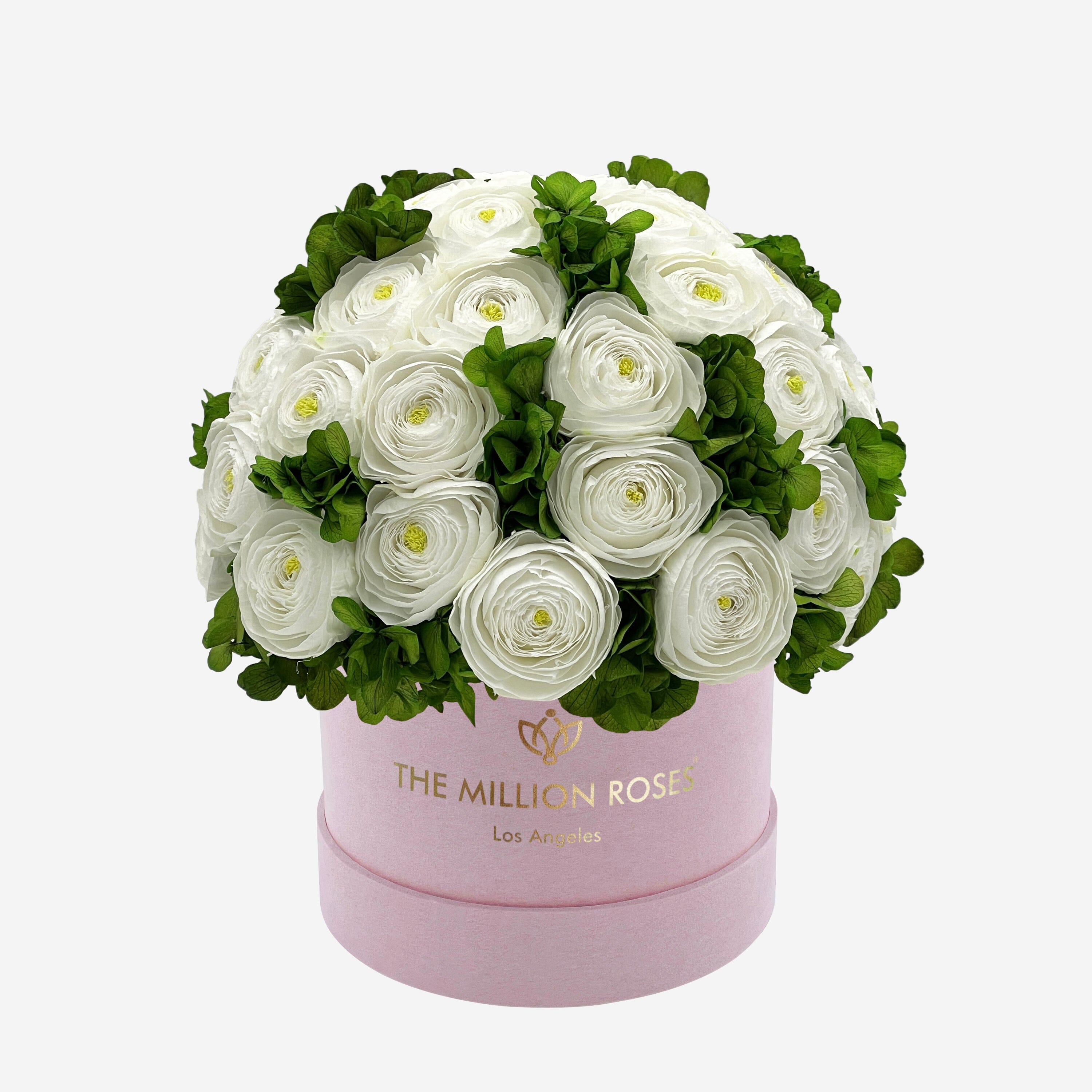 Classic Light Pink Suede Box | White Persian Buttercups & Green Hydrangeas - The Million Roses