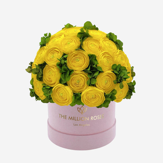 Classic Light Pink Suede Box | Yellow Persian Buttercups & Green Hydrangeas - The Million Roses