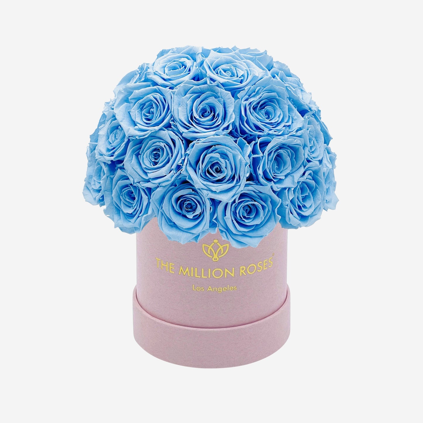 Basic Light Pink Suede Superdome Box | Light Blue Roses - The Million Roses