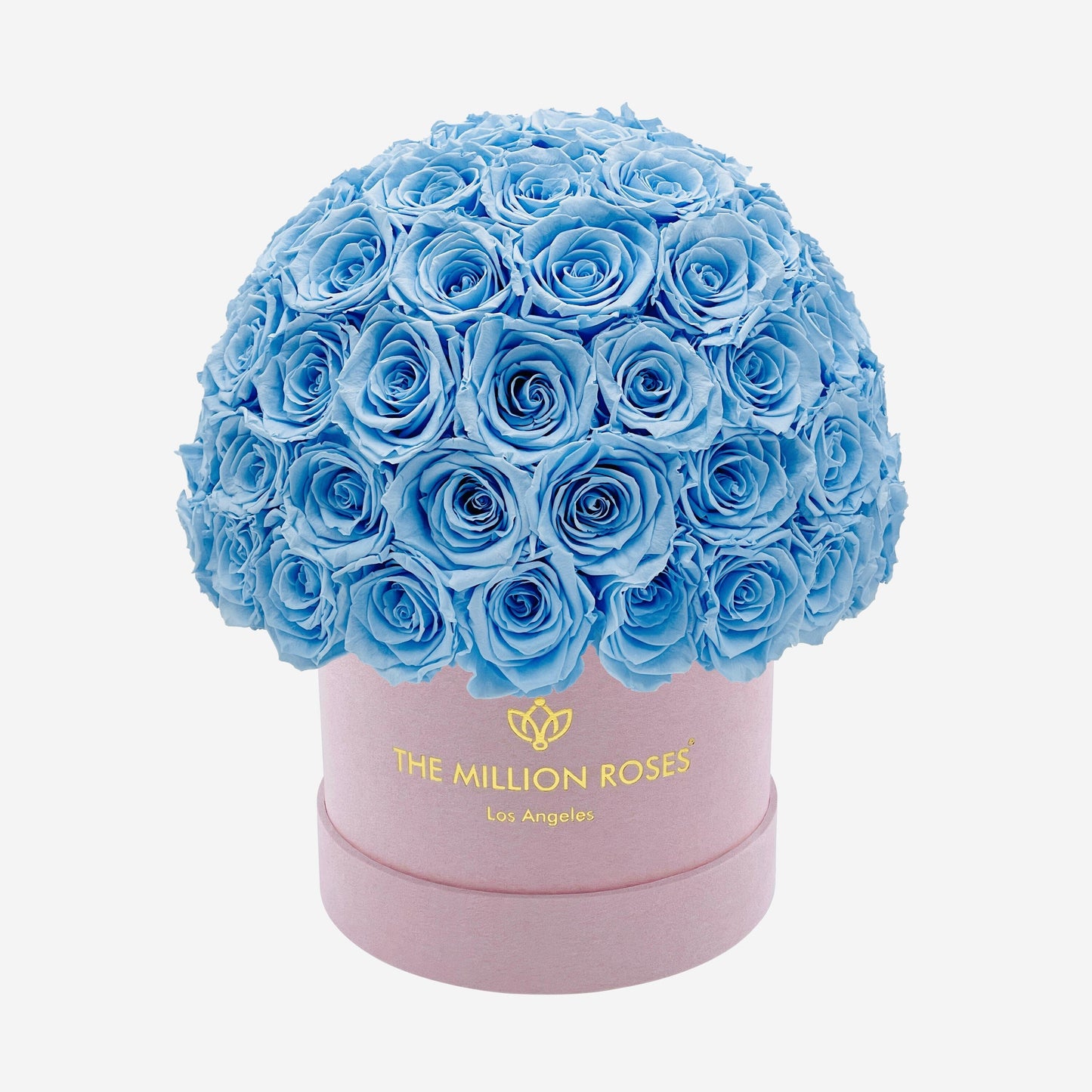 Classic Light Pink Suede Superdome Box | Light Blue Roses - The Million Roses