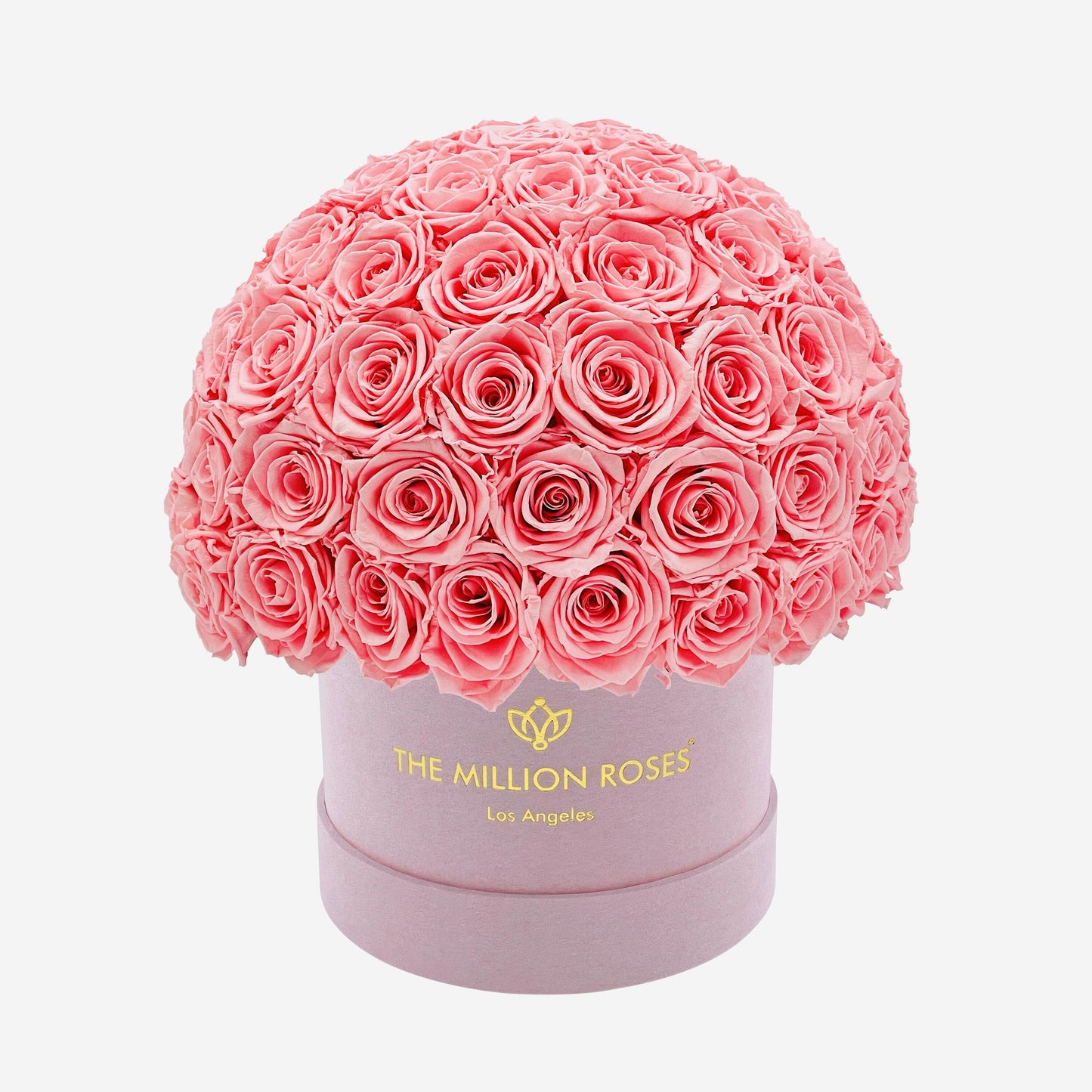 Classic Light Pink Suede Superdome Box | Light Pink Roses - The Million Roses
