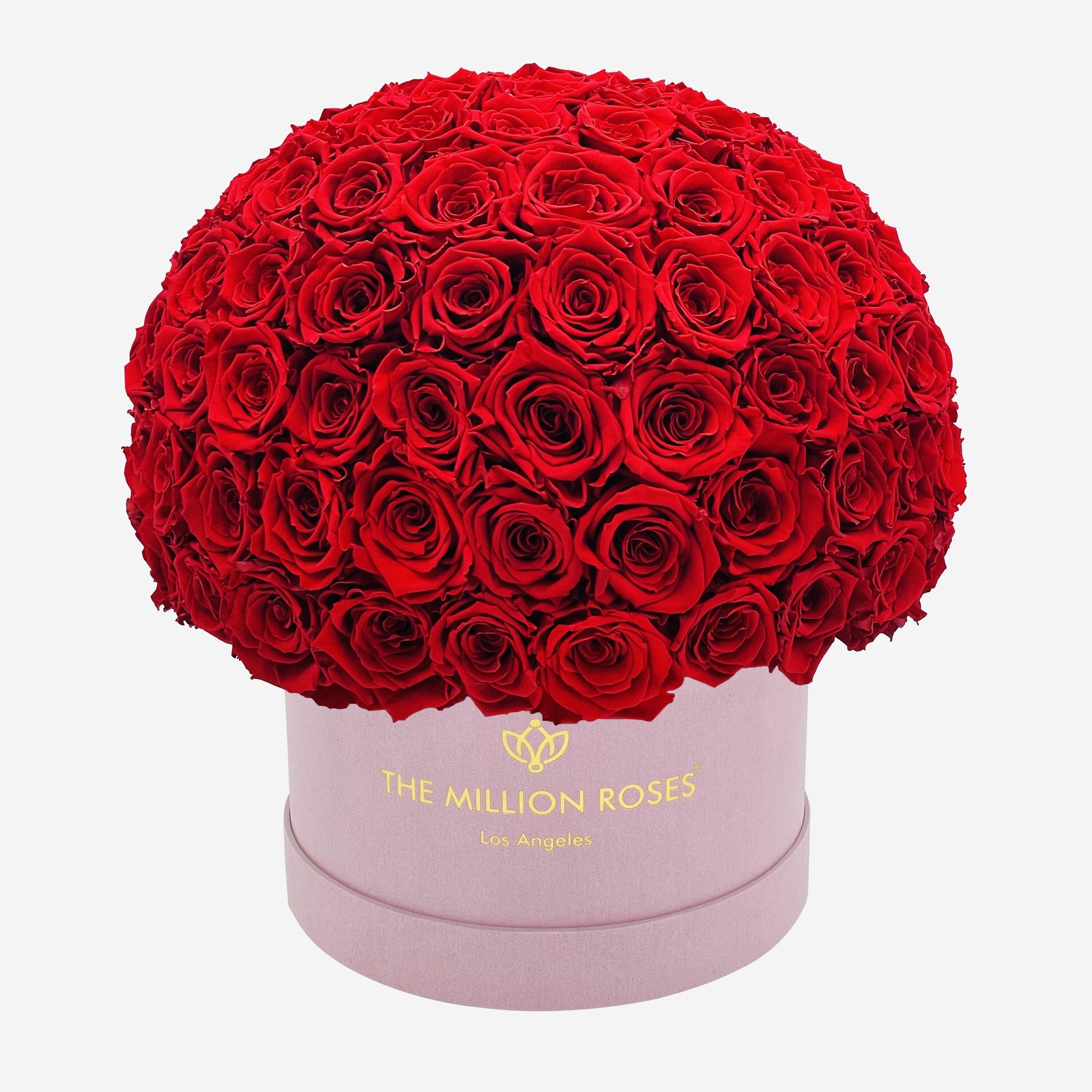 Supreme Light Pink Suede Superdome Box | Red Roses - The Million Roses