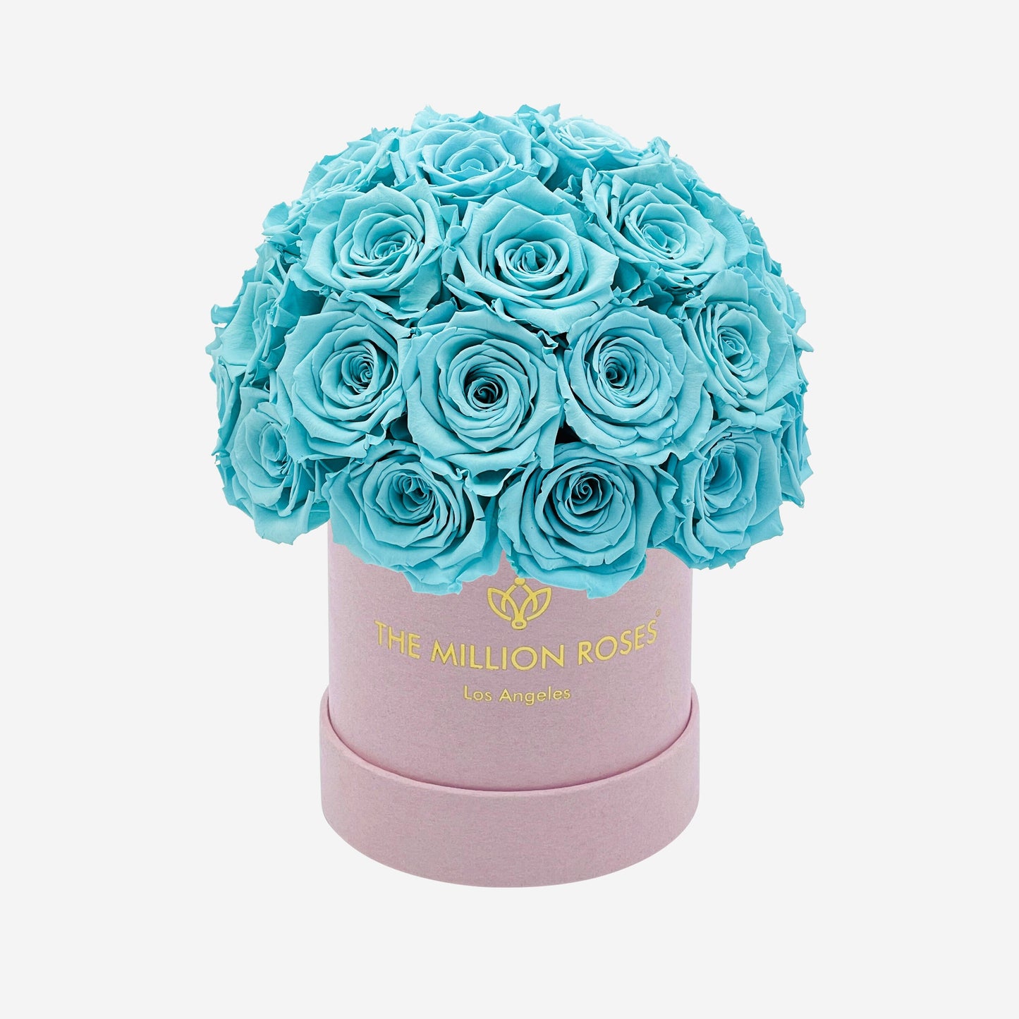 Basic Light Pink Suede Superdome Box | Turquoise Roses - The Million Roses