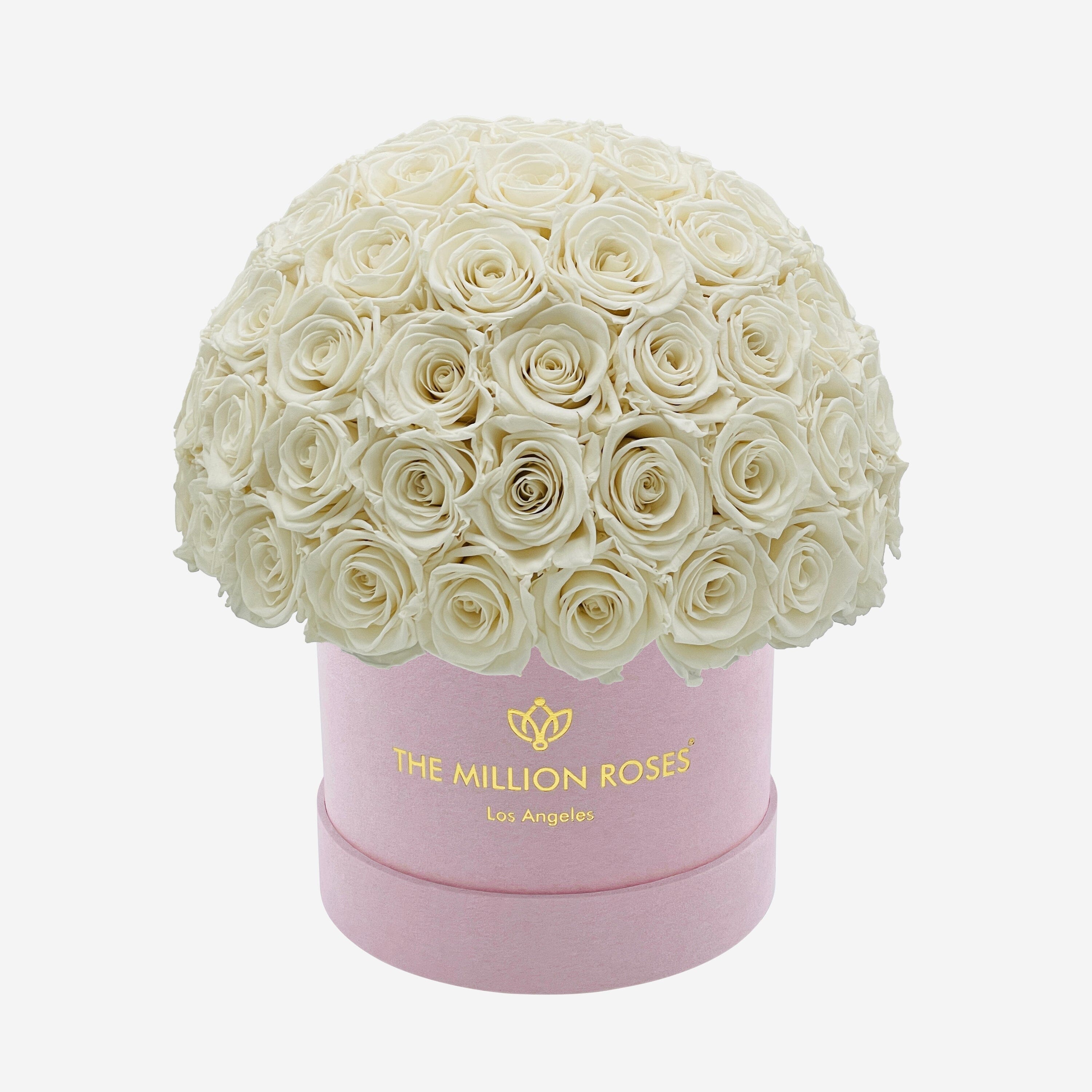 Classic Light Pink Suede Superdome Box | White Roses - The Million Roses