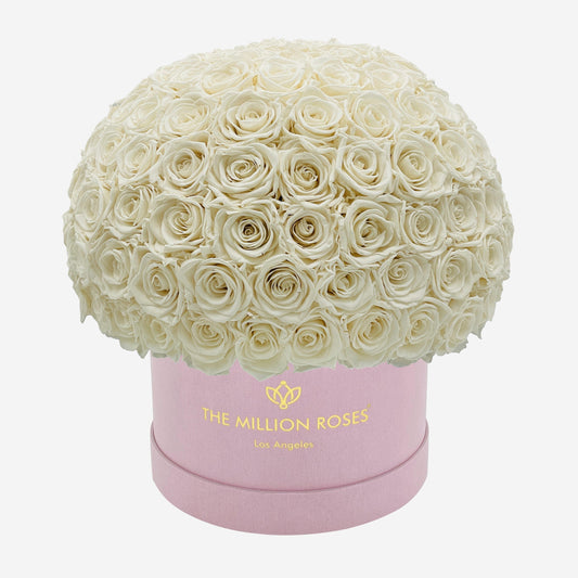 Supreme Light Pink Suede Superdome Box | White Roses - The Million Roses