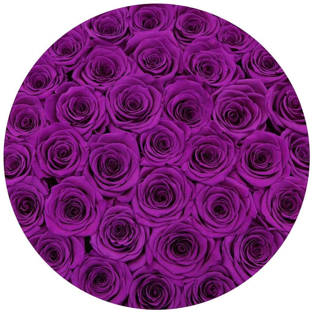 Supreme White Box | Flamingo Edition | Bright Purple Roses - The Million Roses