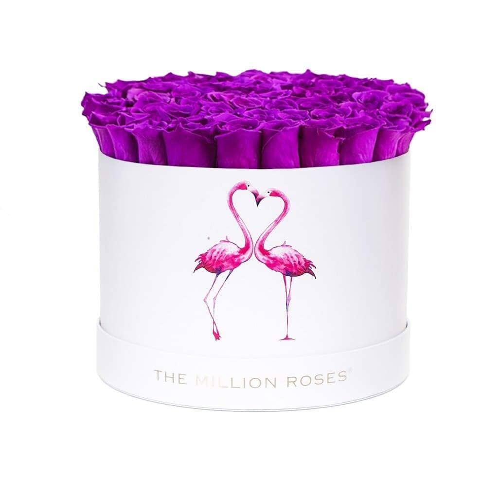 Supreme White Box | Flamingo Edition | Bright Purple Roses - The Million Roses