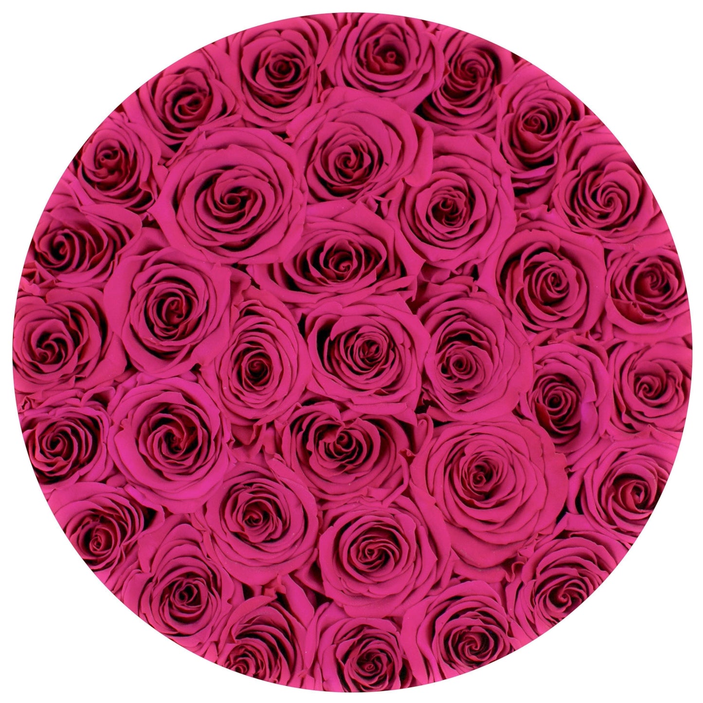Supreme White Box | Flamingo Edition |  Hot Pink Roses - The Million Roses