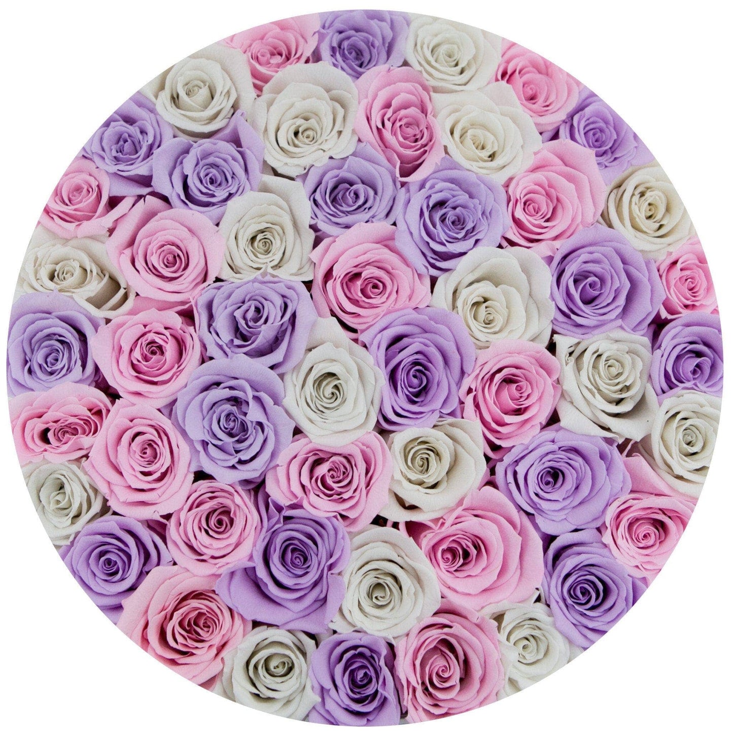 Supreme White Box | White & Pink & Lavender Roses - The Million Roses
