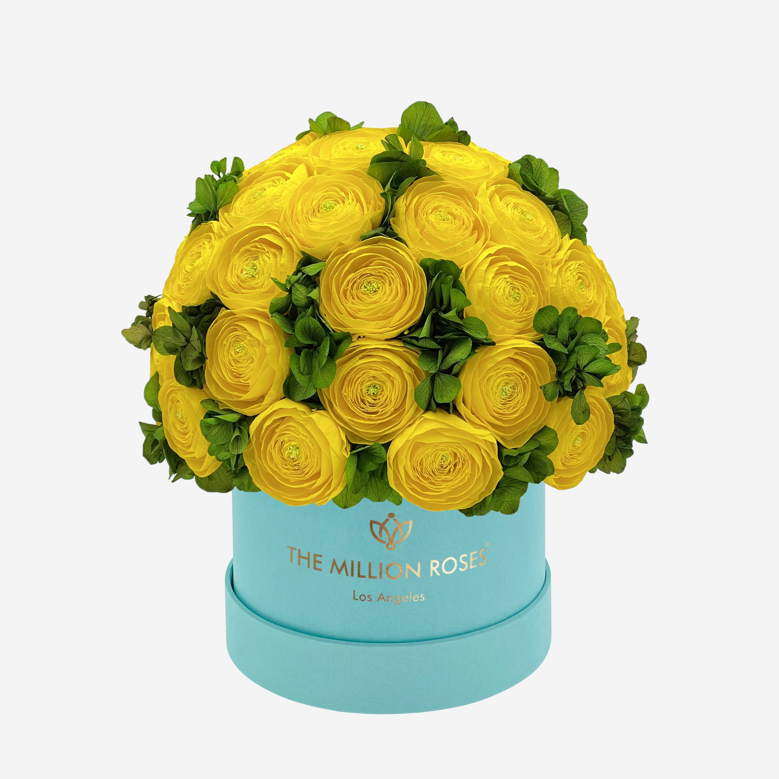 Classic Mint Green Suede Box | Yellow Persian Buttercups & Green Hydrangeas - The Million Roses