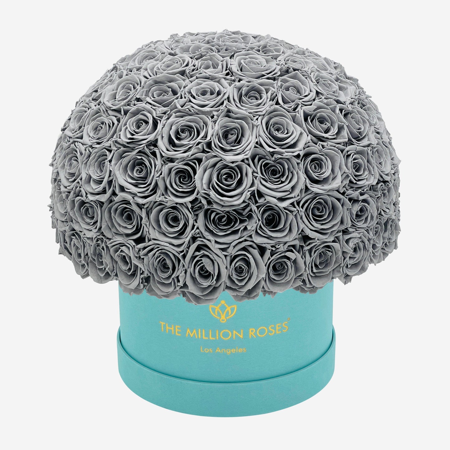 Supreme Mint Green Suede Superdome Box | Pastel Grey Roses - The Million Roses