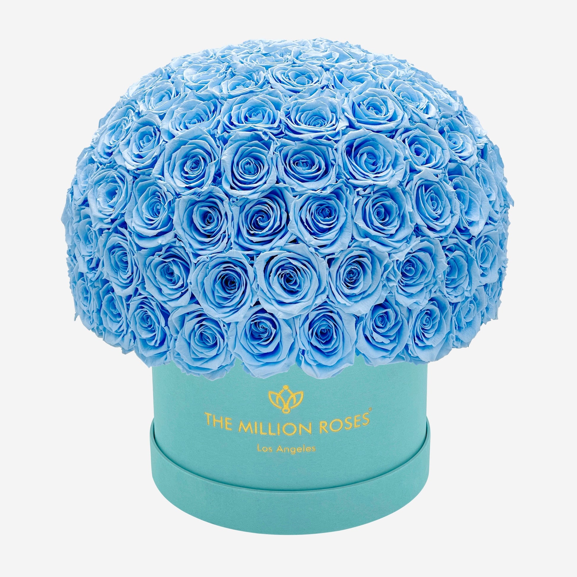 Supreme Mint Green Suede Superdome Box | Light Blue Roses - The Million Roses