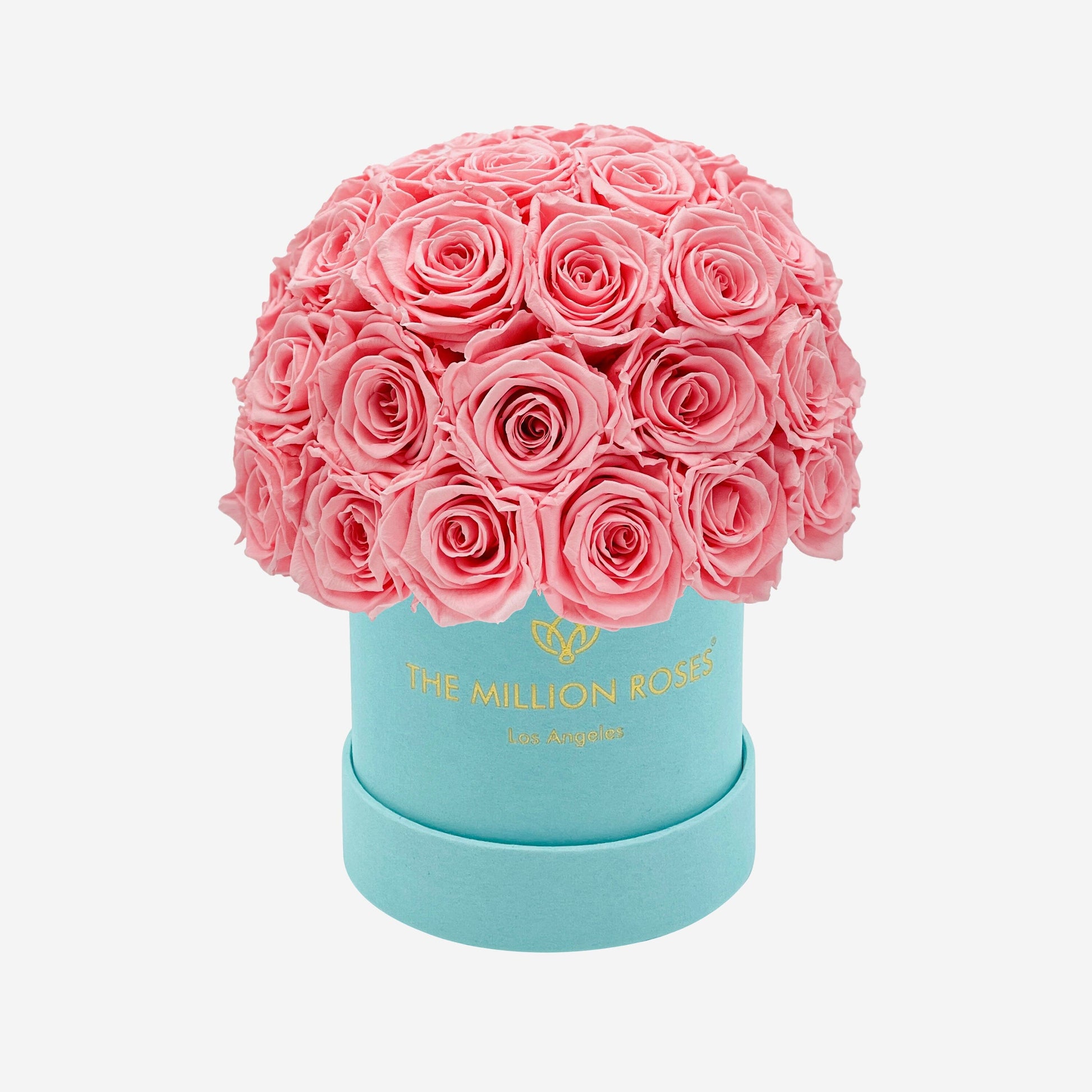 Basic Mint Green Suede Superdome Box | Light Pink Roses - The Million Roses