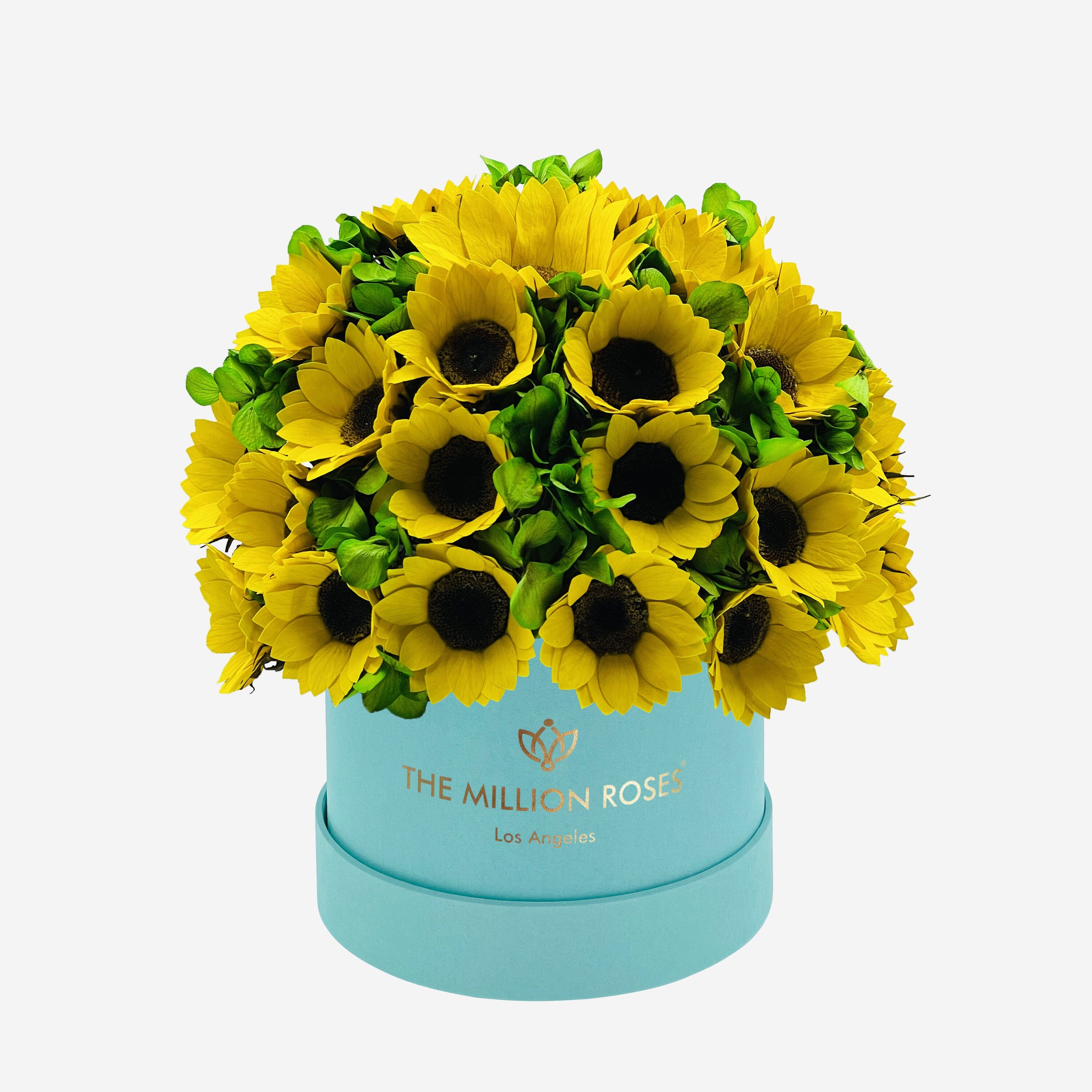 Classic Mint Green Suede Box | Sunflowers & Green Hydrangeas