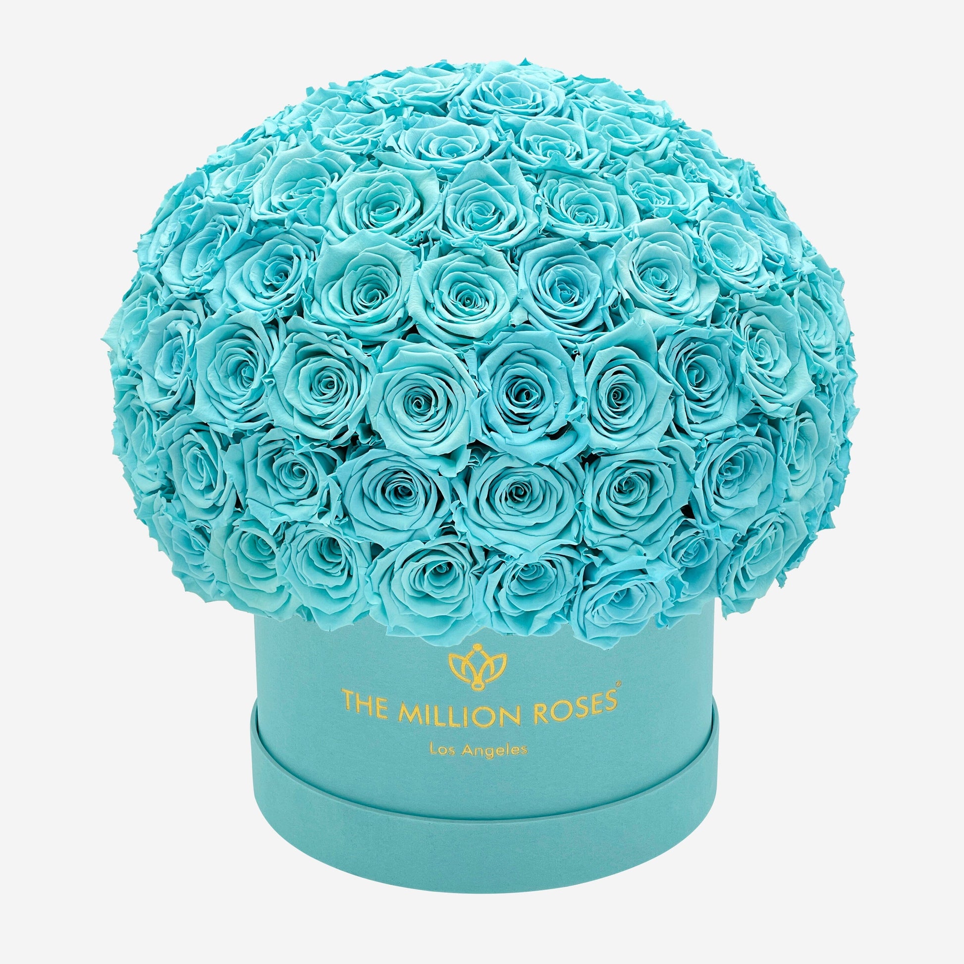 Supreme Mint Green Suede Superdome Box | Turquoise Blue Roses - The Million Roses