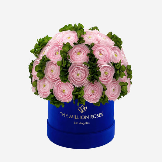 Classic Royal Blue Suede Box | Light Pink Persian Buttercups & Green Hydrangeas - The Million Roses