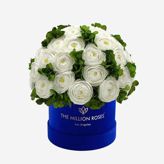 Classic Royal Blue Suede Box | White Persian Buttercups & Green Hydrangeas - The Million Roses