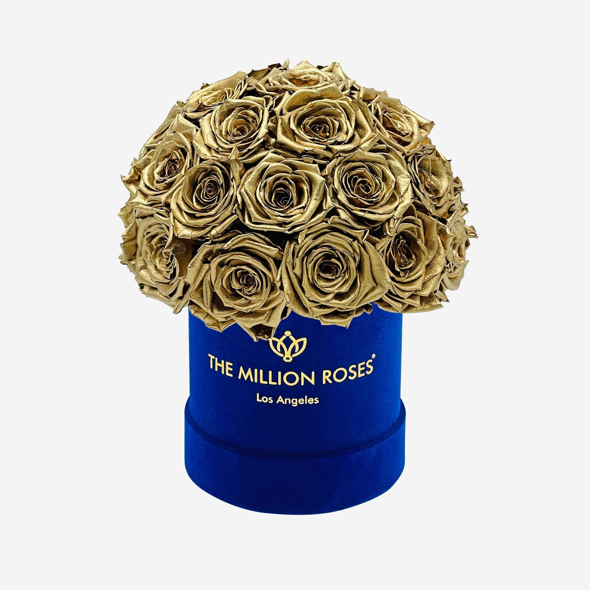 Basic Royal Blue Suede Superdome Box | Gold Roses - The Million Roses