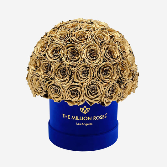 Classic Royal Blue Suede Superdome Box | Gold Roses - The Million Roses
