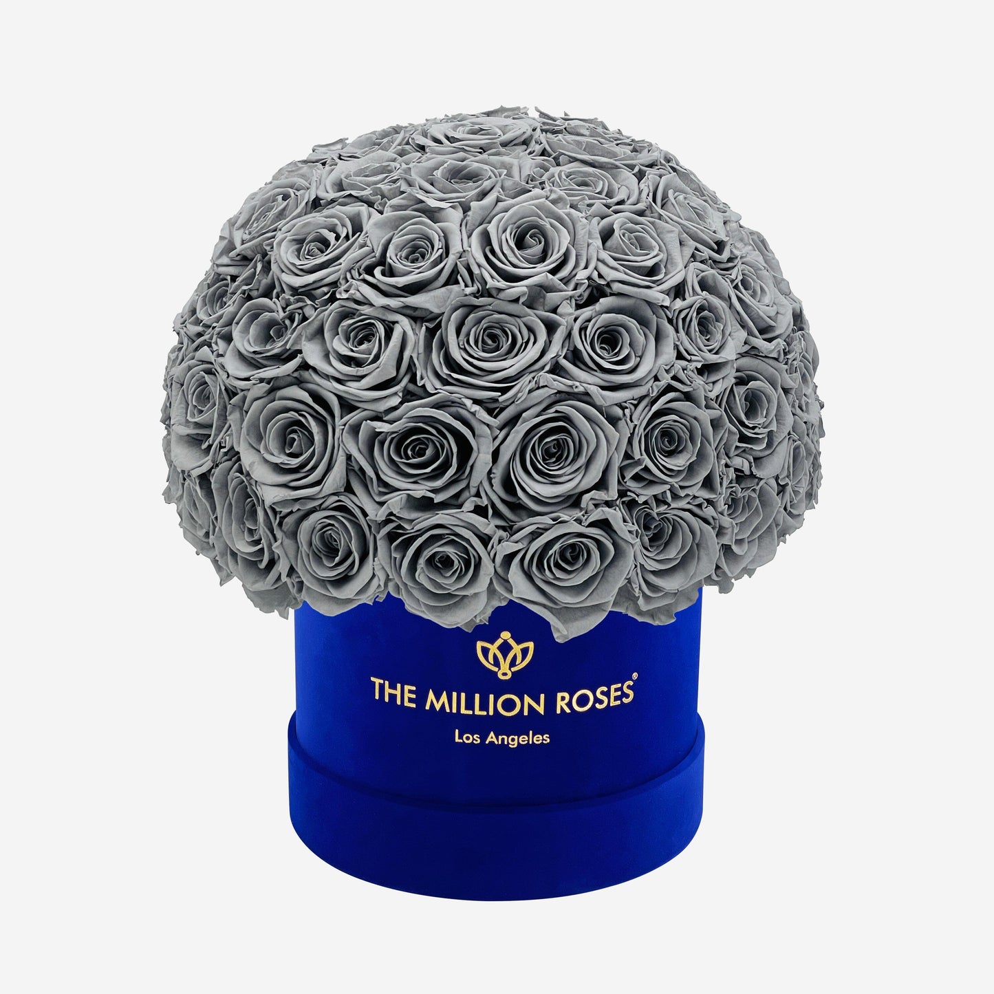 Classic Royal Blue Suede Superdome Box | Pastel Grey Roses - The Million Roses