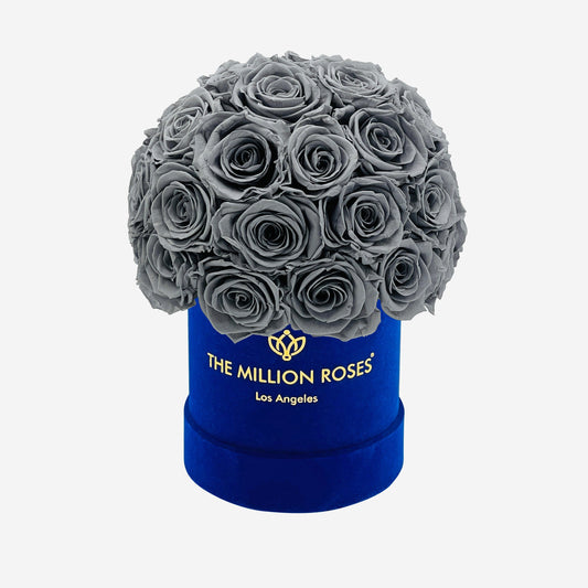 Basic Royal Blue Suede Superdome Box | Pastel Grey Roses - The Million Roses