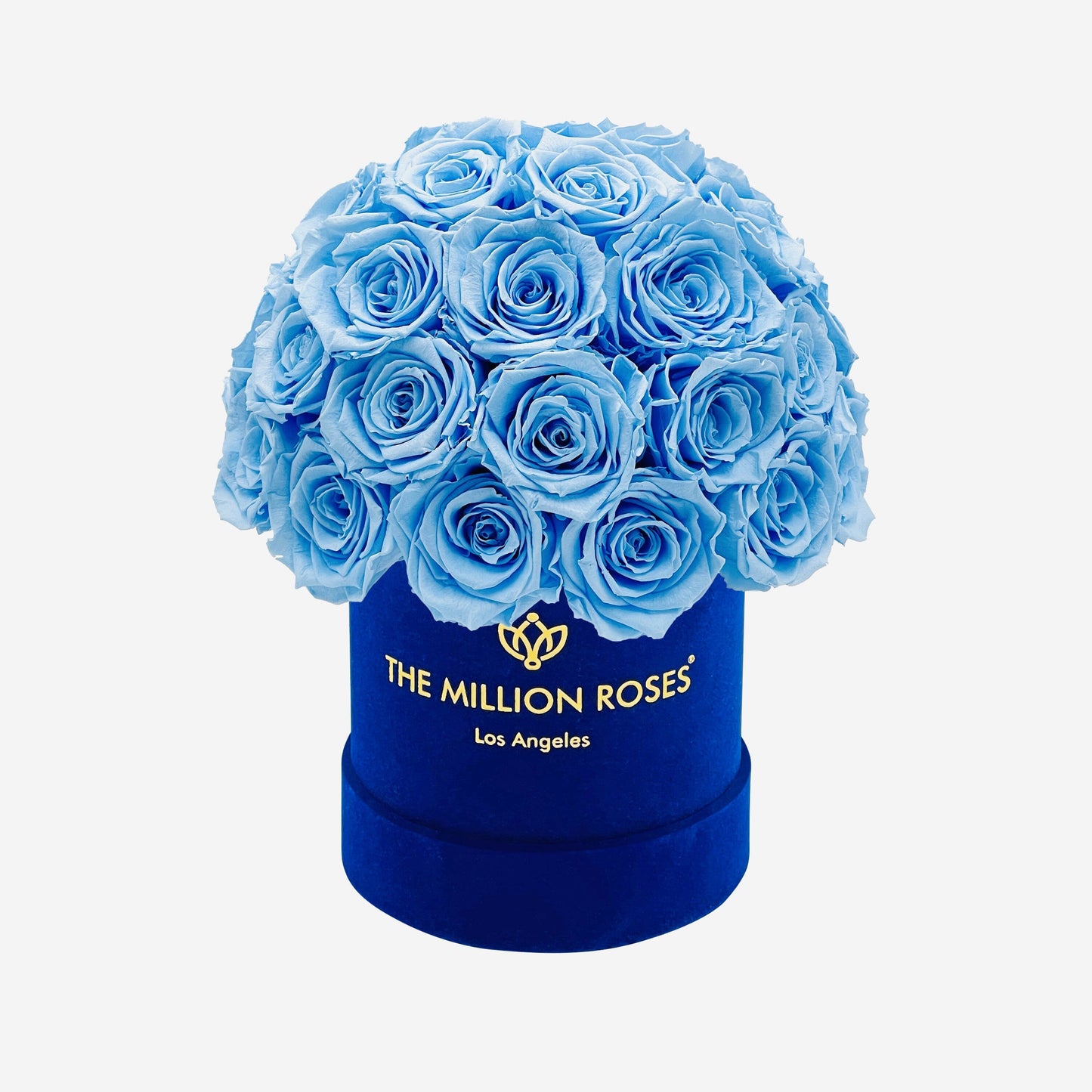 Basic Royal Blue Suede Superdome Box | Light Blue Roses - The Million Roses