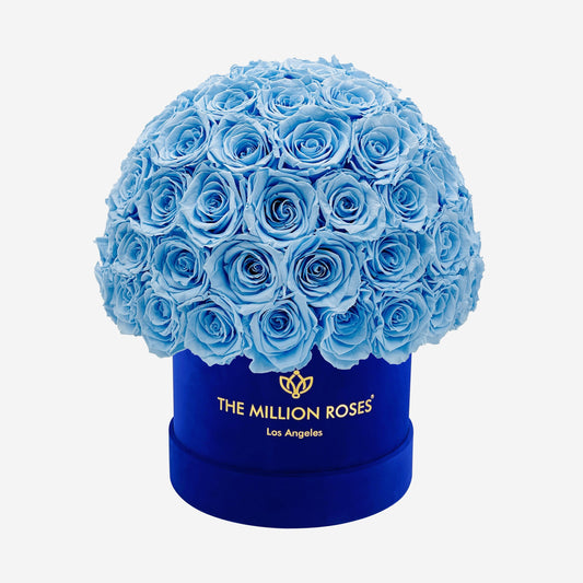 Classic Royal Blue Suede Superdome Box | Light Blue Roses - The Million Roses