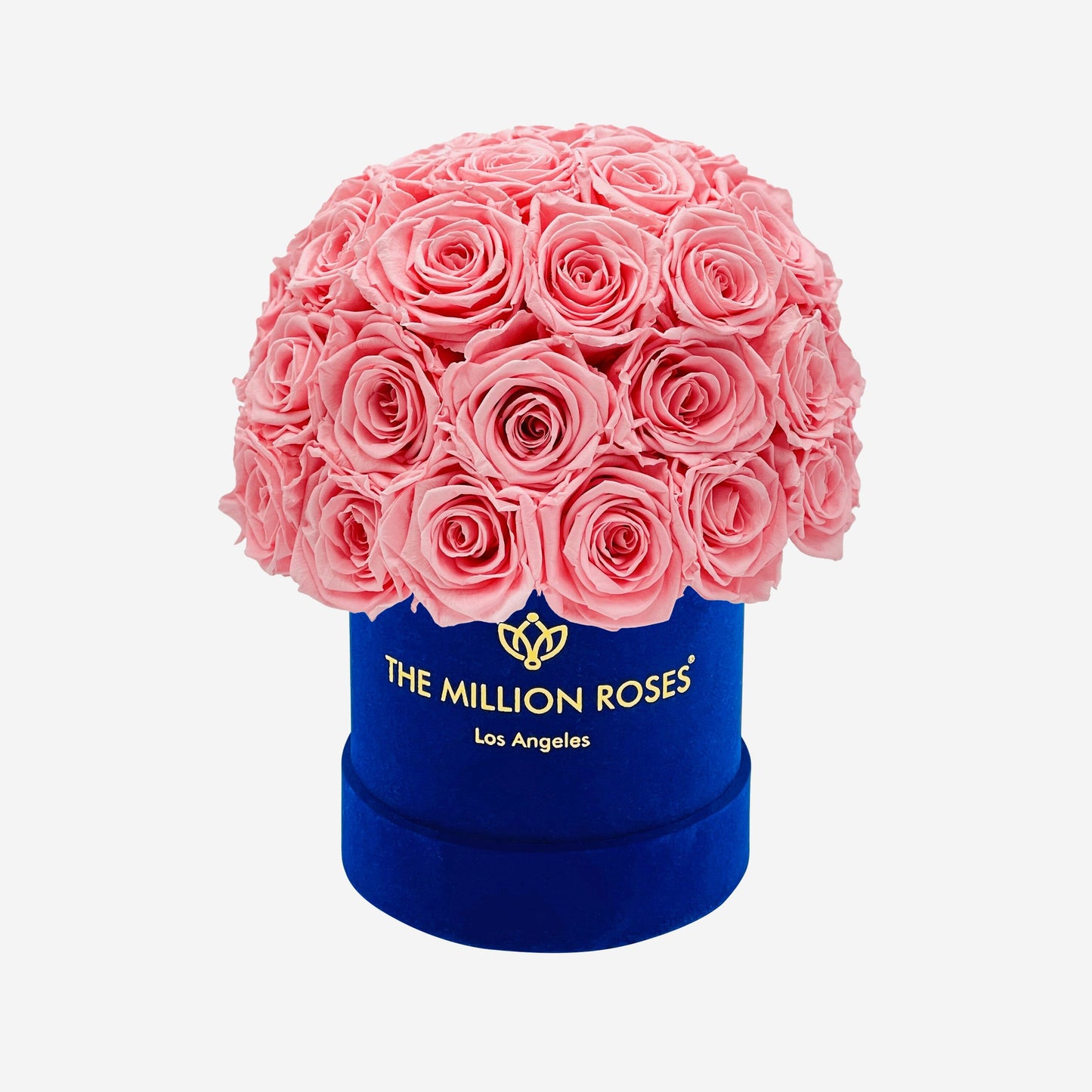 Basic Royal Blue Suede Superdome Box | Light Pink Roses - The Million Roses