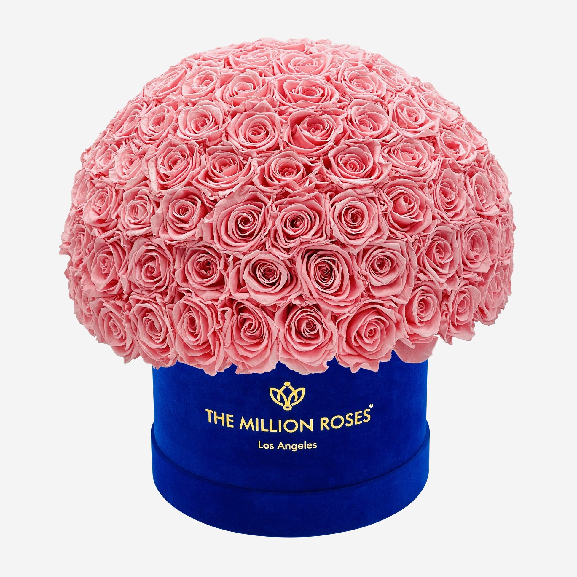 Supreme Royal Blue Suede Superdome Box | Light Pink Roses - The Million Roses
