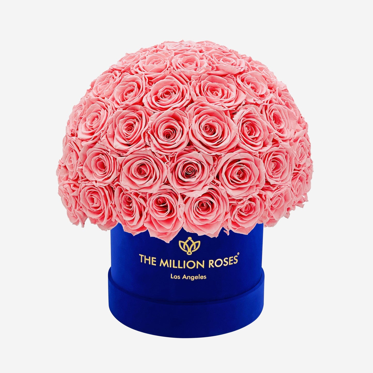 Classic Royal Blue Suede Superdome Box | Light Pink Roses - The Million Roses