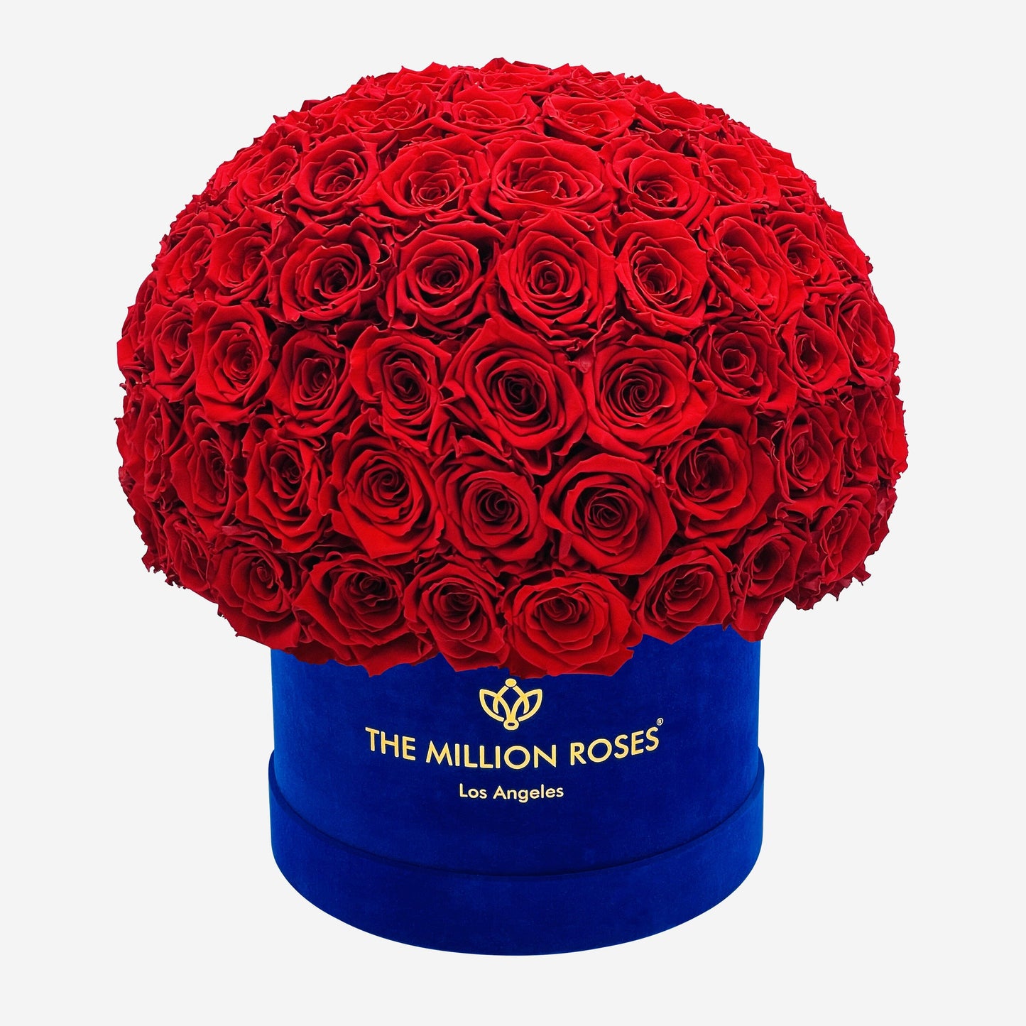 Supreme Royal Blue Suede Superdome Box | Red Roses - The Million Roses