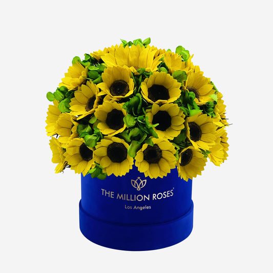 Classic Royal Blue Suede Box | Sunflowers & Green Hydrangeas - The Million Roses