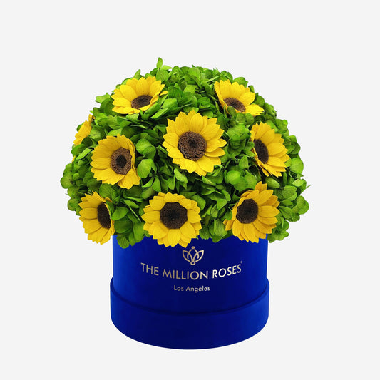 Classic Royal Blue Suede Box | Green Hydrangeas & Sunflowers - The Million Roses